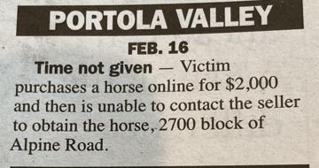 Horse